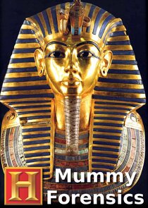 Mummy Forensics