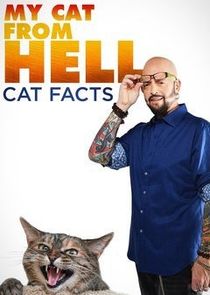 My Cat from Hell: Cat Facts