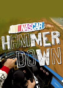 NASCAR Hammer Down