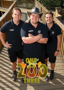 One Zoo Three