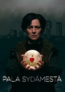 Pala syd&auml;mest&auml;