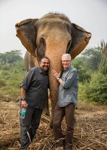 Paul O'Grady: For the Love of Animals - India