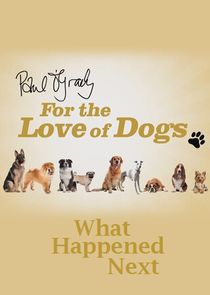 Paul O'Grady For the Love of Dogs: What Happened Next
