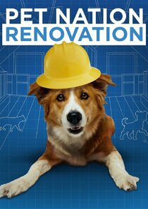 Pet Nation Renovation