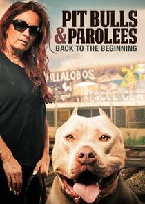 Pit Bulls & Parolees: Back to the Beginning