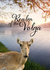 Realm of the Volga