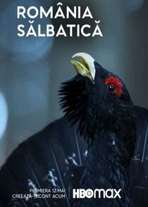 Rom&acirc;nia Salbatica
