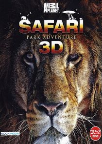 Safari Park Adventure