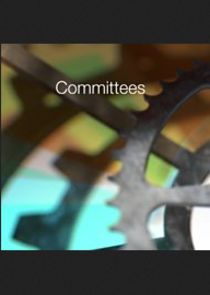 Select Committees