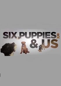 Six Puppies and Us