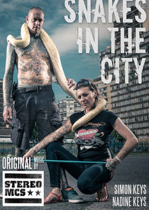 Snakes in the City