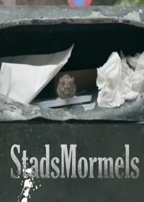 Stadsmormels