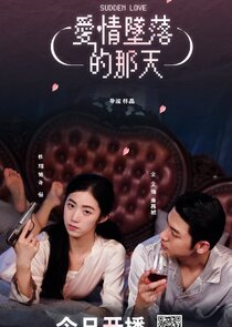 Sudden Love