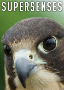 Supersenses