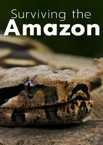 Surviving the Amazon