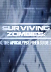 Surviving Zombies