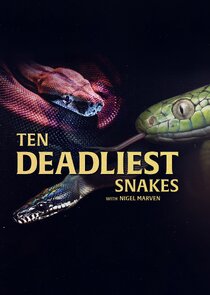 Ten Deadliest Snakes with Nigel Marven