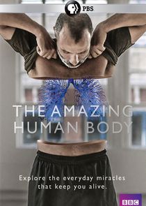 The Amazing Human Body