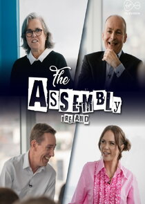The Assembly Ireland
