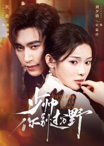 The Fiery Young Marshal