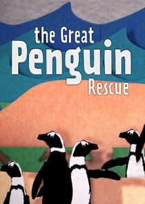 The Great Penguin Rescue