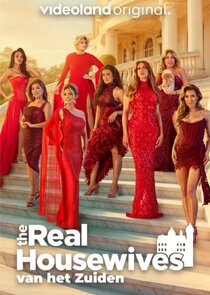 The Real Housewives van het Zuiden
