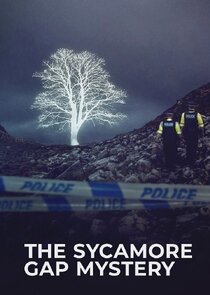 The Sycamore Gap Tree Mystery