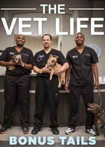 The Vet Life: Bonus Tails