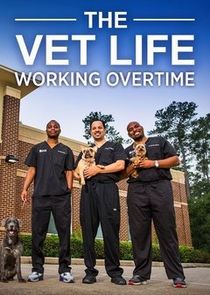 The Vet Life: Working Overtime