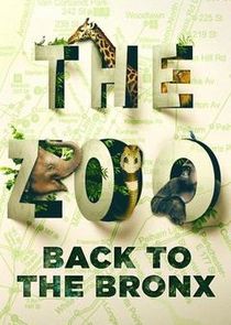 The Zoo: Back to the Bronx