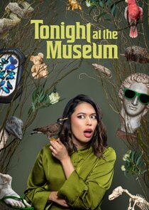 Tonight At The Museum