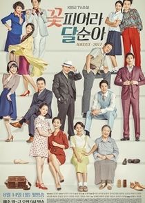 TV Novel: Dal Soon's Spring