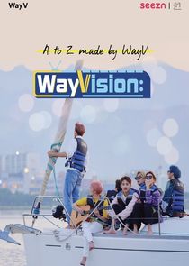 WayVision