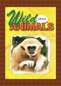 Wild About Animals
