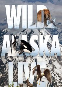 Wild Alaska Live