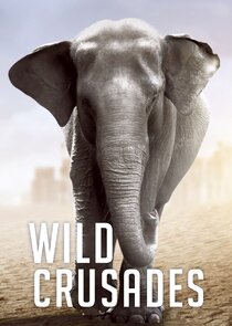 Wild Crusades