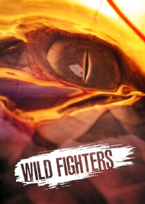 Wild Fighters