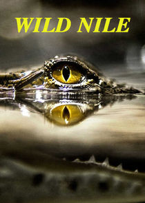 Wild Nile