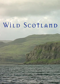 Wild Scotland
