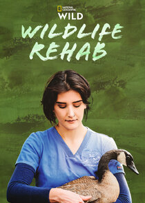 Wildlife Rehab