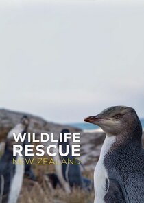 Wildlife Rescue New Zealand