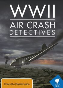 WWII Air Crash Detectives